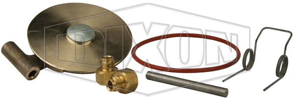 Swing Check Valve Repair Kit